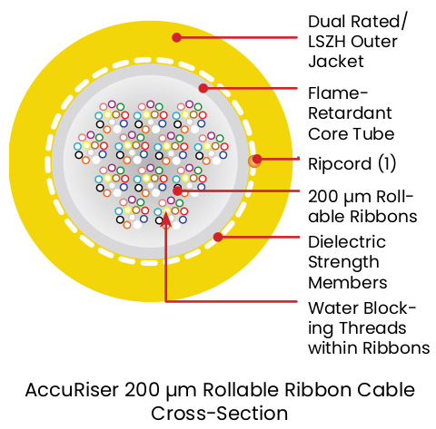 AccuRiser 200 µm Rollable Ribbon Fiber Optic Cable