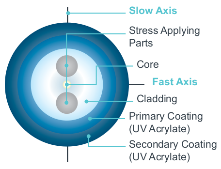 TruePhase 1310-250 Polarization-Maintaining Optical Fiber