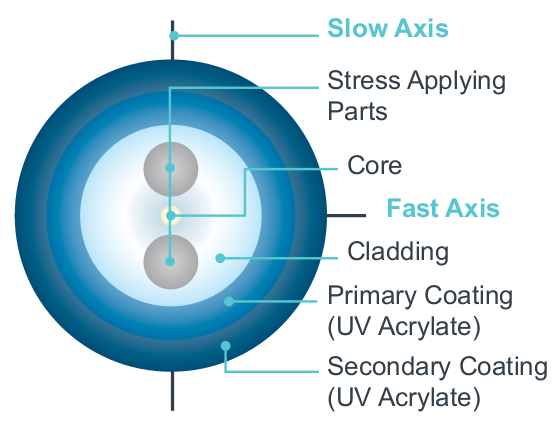 ClearLite® TruePhase® 1550 400 Polarization-Maintaining Optical Fiber