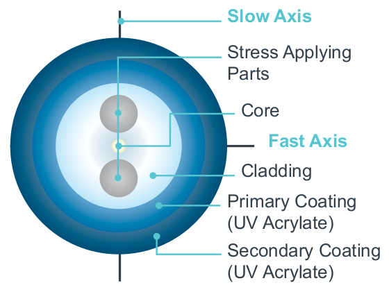 ClearLite® TruePhase® 1550 Polarization-Maintaining Optical Fiber